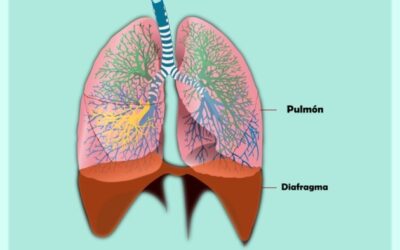 ¿Qué es la respiración funcional?