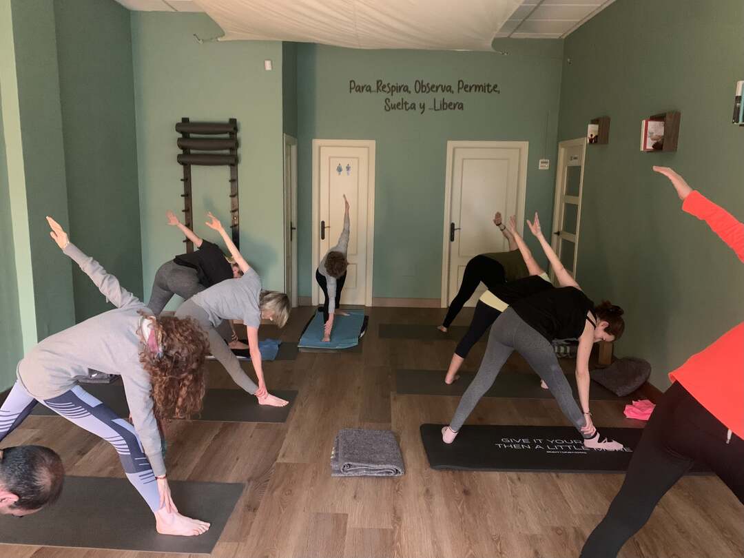 YOGA VINYASA